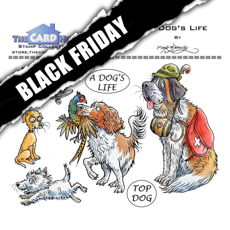 [Black Friday] Pets